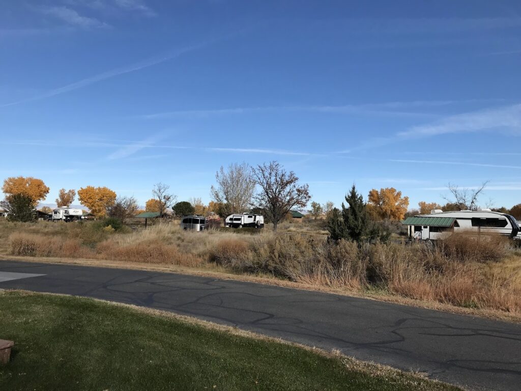 Campsites at James Robb Colorado River State Park
