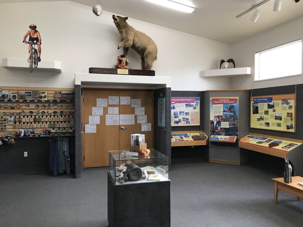 A bear going after a biker inside the visitor's center at James M. Robb State Park